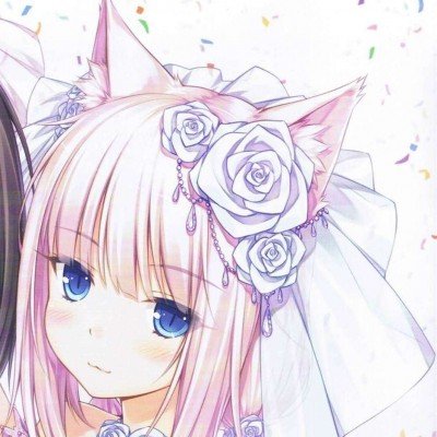 山东女孩种草莓在迪拜卖268一斤
